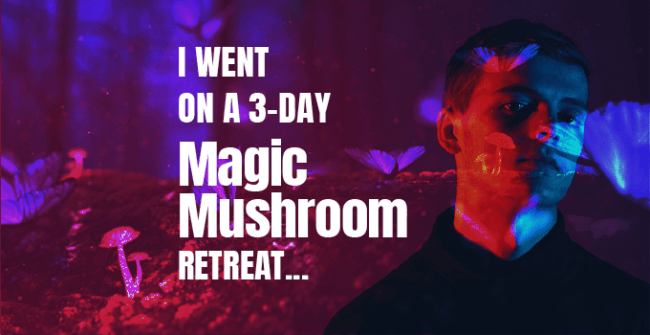 Mushroom Retreat